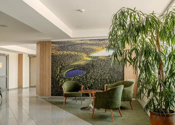 Medical Spa Egles Sanatorija Comfort Plus Druskininkai